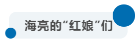 1572331903419722hXpz.png